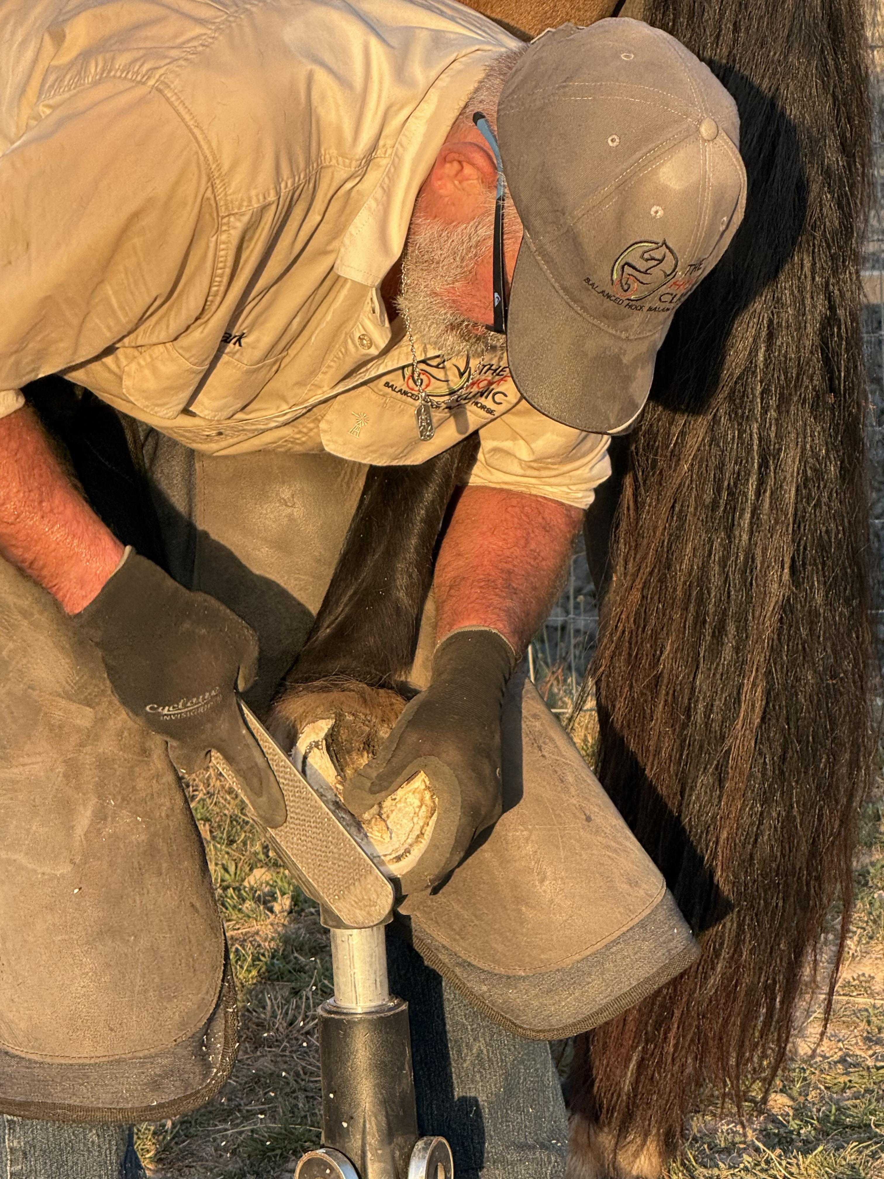 Precision hoof trimming — The Hoof Clinic