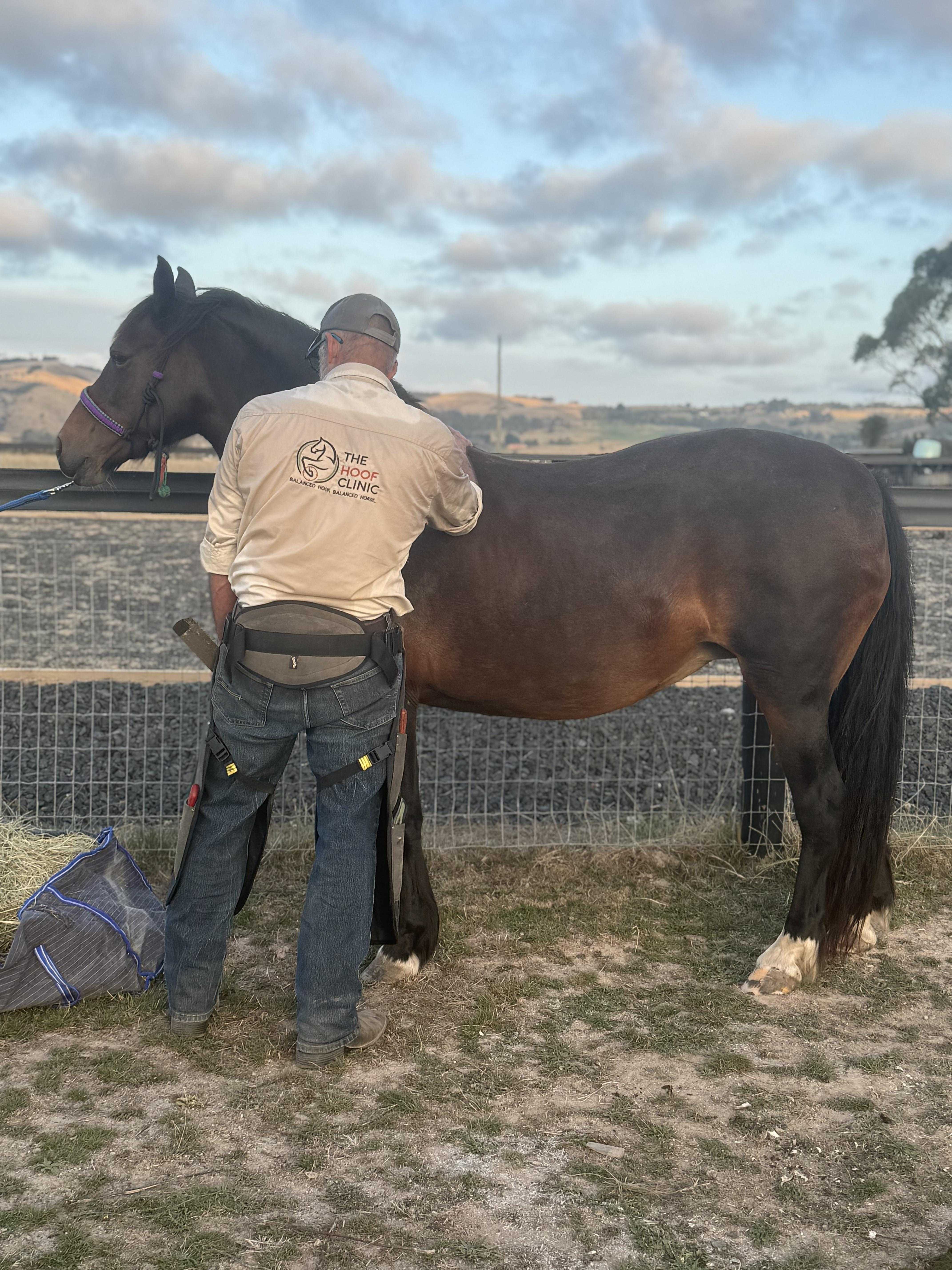 Mark Welton with a horse — The Hoof Clinic